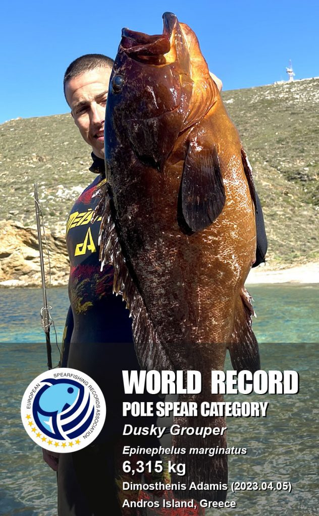 Spearfisher Dimos Adamis holding a 6.3 kg Dusky Grouper, world record catch with a pole spear on Andros Island, Greece.